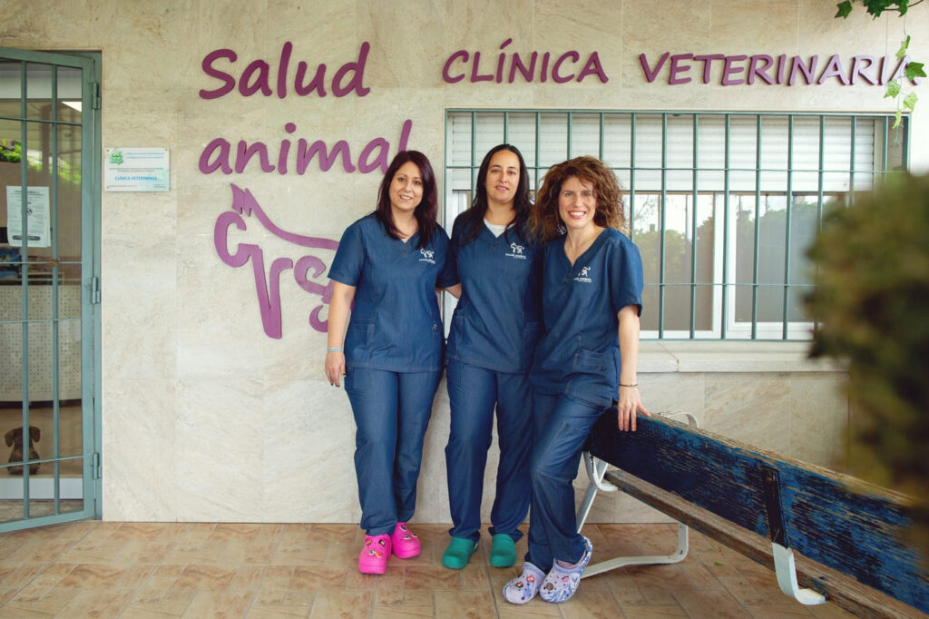 centro clinico veterinario salud animal