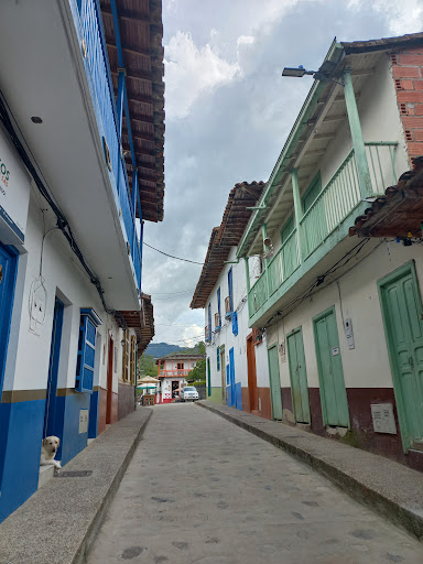 Concepción