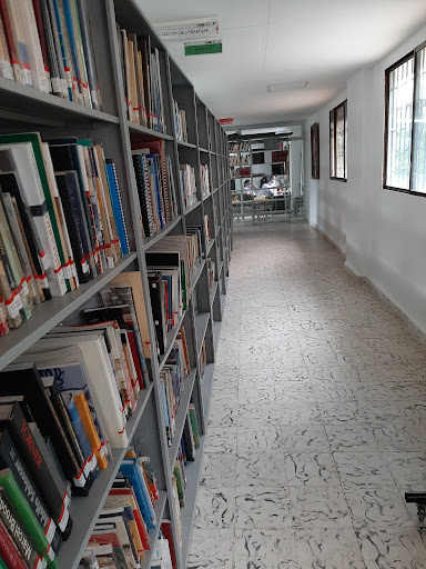 Biblioteca municipal julio flores
