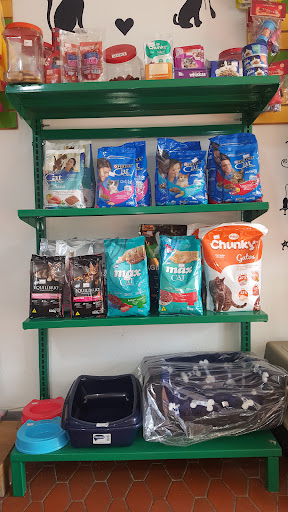 Veterinarias Guarne - Mi Vete Clinica Veterinaria