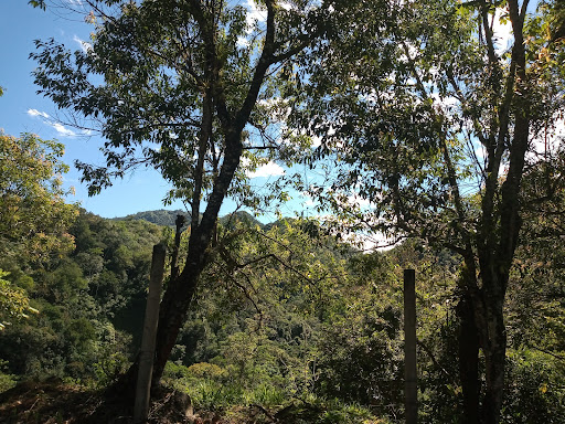 Paunita, Muzo, Boyacá, Colombia