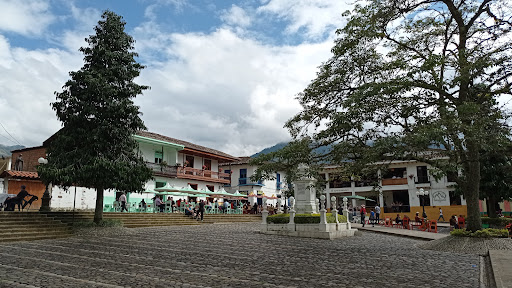 Parque De Jardin