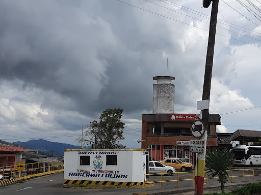 Terminal de Transporte Anserma