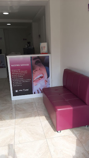 Arte dental. Odontología integral supia
