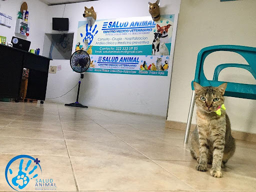 Salud Animal Clínica Veterinaria