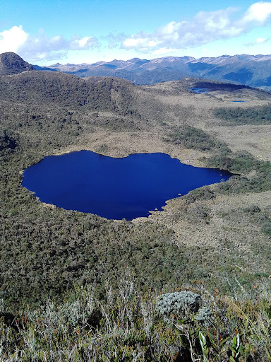 Páez