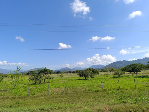 Bosconia, Cesar