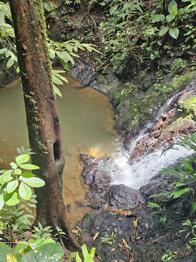 Cascada de Amor