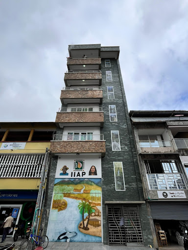 Instituto de Investigaciones Ambientales del Pacífico - IIAP