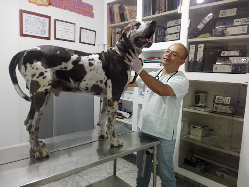 Clinica Veterinaria El Arca