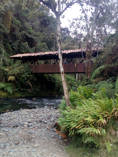 E.S.E Hospital San Rafael