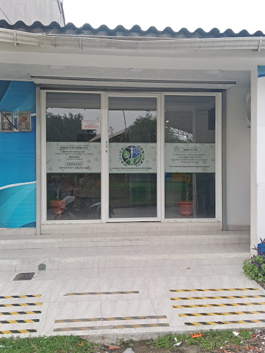 Consultorio de Asesoría Nutricional
