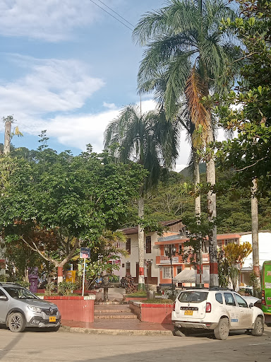 ALCALDIA MUNICIPAL