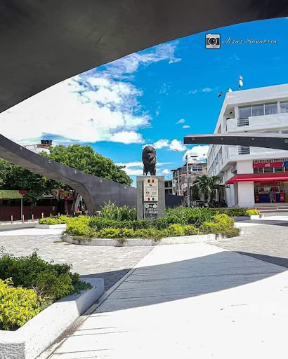 Centro De Salud Ricaurte