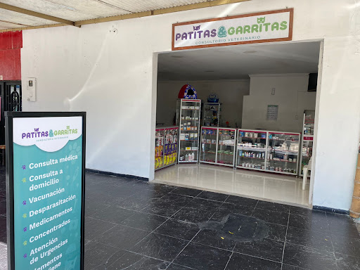 Consultorio veterinario Patitas & Garritas