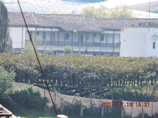 Hospital Neuropsiquiatrico