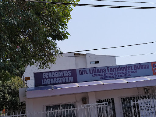 RP Liliana Fernandez Bilbao