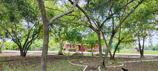 Centro de Salud Carolina