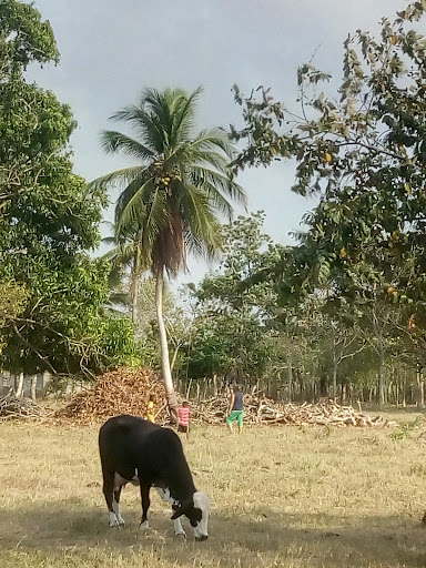 San Pelayo