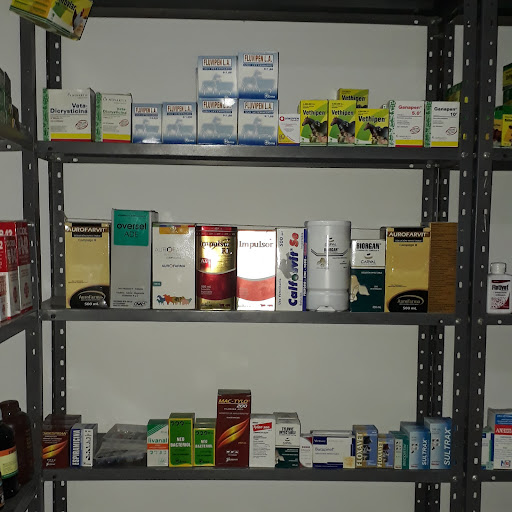 Agrodistribuciones La Mazorca San Pelayo