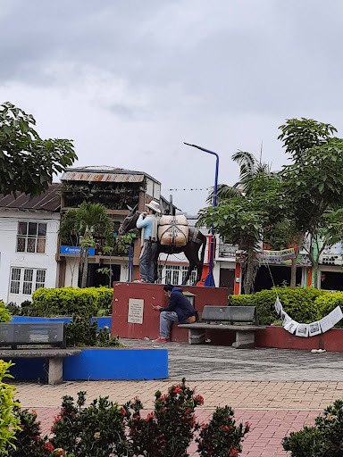 ACEVEDO HUILA