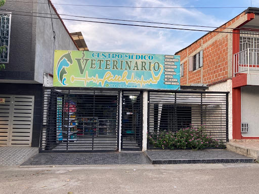 Centro Médico Veterinario PAUL