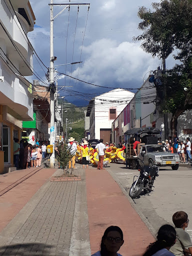 SALUD VITAL DEL HUILA IPS S.A.S - Garzon