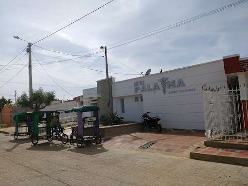 Palaima