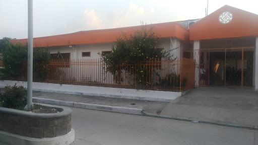 E.S.E Hospital Local De Tenerife