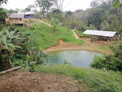 La fuente Dorada