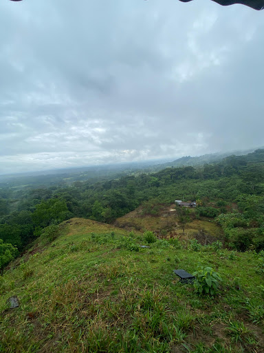 Vista hermosa