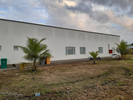 E.S.E CAMILO HURTADO CIFUENTES