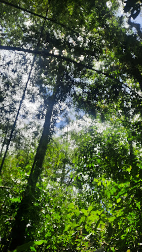 Sendero Ecológico Bochalema