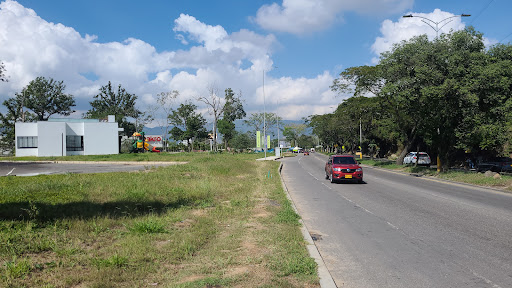 Clinica el pinar
