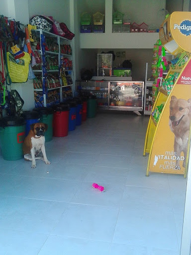 VETERINARIA CONVENCION