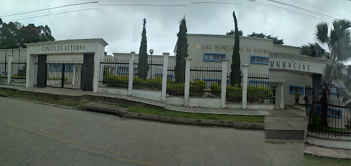 ESE Hospital El Carmen