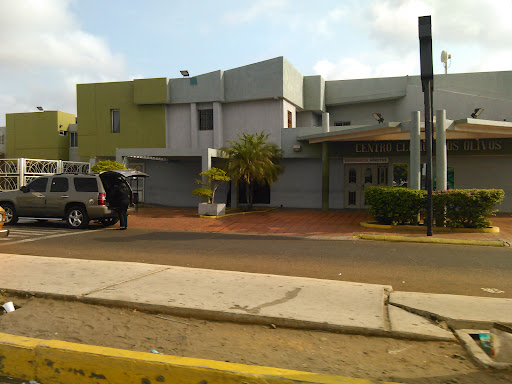 Centro Clinico Los Olivos