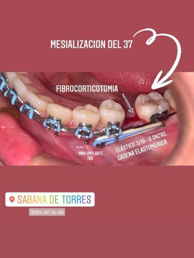 Dra Nathalia Hernandez
