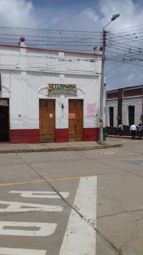 Veterinaria Surticampo