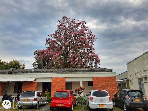 Hospital Local De Obando